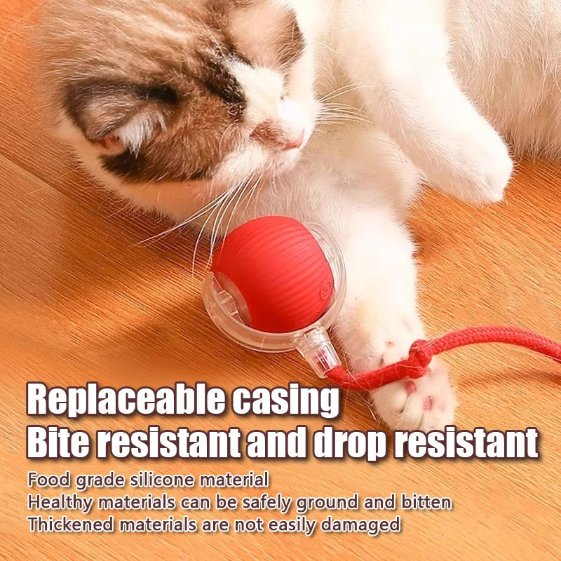 Bola Interactiva para Gatos – Se Mueve Sola con Cola de Ratón